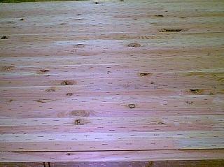 Incised Bridge Girder